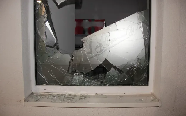 Vyčmuchají drogy i zloděje. Policejní psi se svými psovody měli loni přes 1700 zásahů