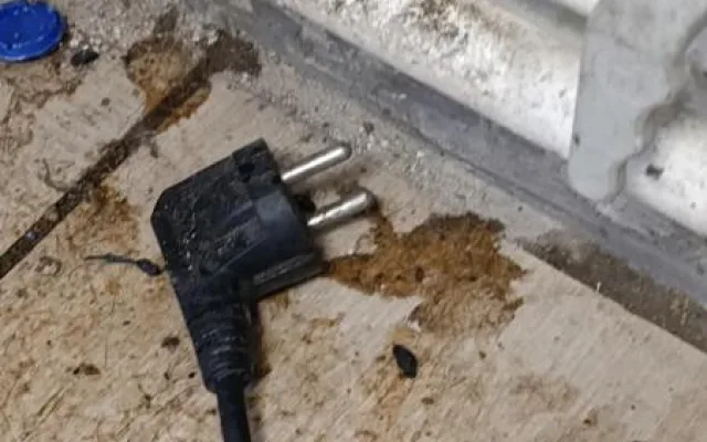 Myší bobky i mrtvý hlodavec mezi jídlem. Inspektoři zavřeli kebab v Ostravě