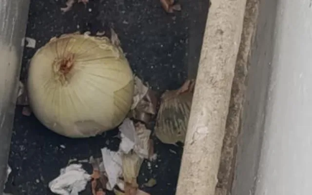 Myší bobky i mrtvý hlodavec mezi jídlem. Inspektoři zavřeli kebab v Ostravě