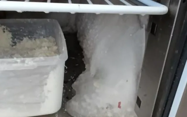 Myší bobky i mrtvý hlodavec mezi jídlem. Inspektoři zavřeli kebab v Ostravě