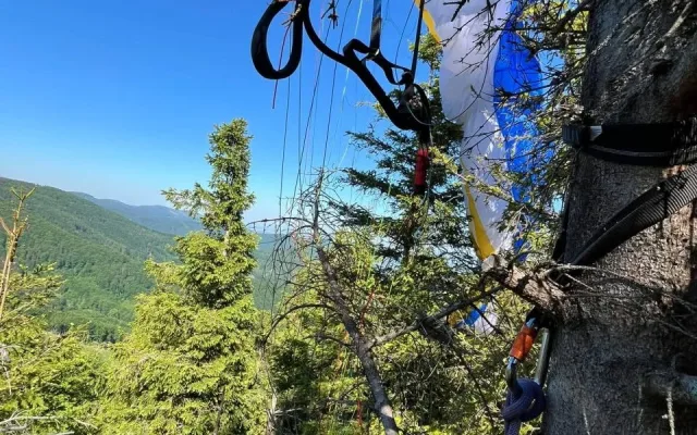 Dva paraglidisté zakončili lety v korunách vysokých stromů, kde zůstali viset
