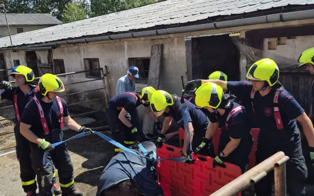 Kůň se nemohl zvednout, pomohli hasiči. Pak sám odešel na pastvu