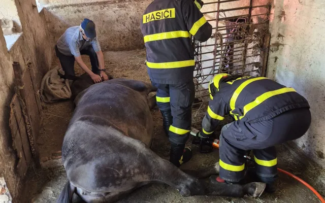 Kůň se nemohl zvednout, pomohli hasiči. Pak sám odešel na pastvu