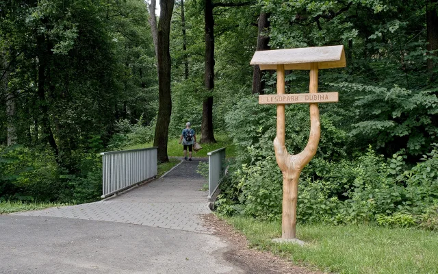 MAREK_BEHAN