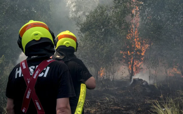 Lesní požár u Větřkovic způsobil škodu 8 milionů korun