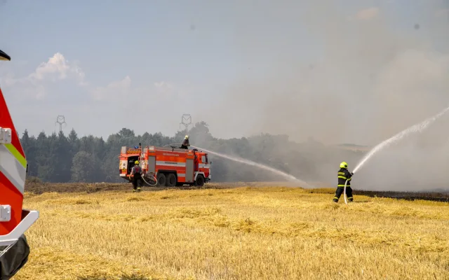 Lesní požár u Větřkovic způsobil škodu 8 milionů korun
