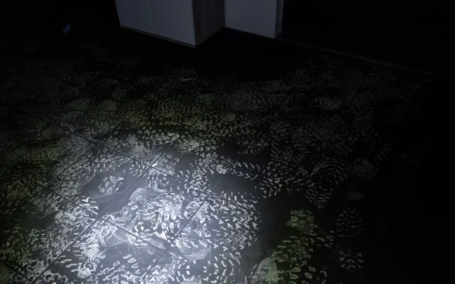 Požár jim vzal vybavení, ale ne chuť tančit. Ostravské studio prosí o pomoc