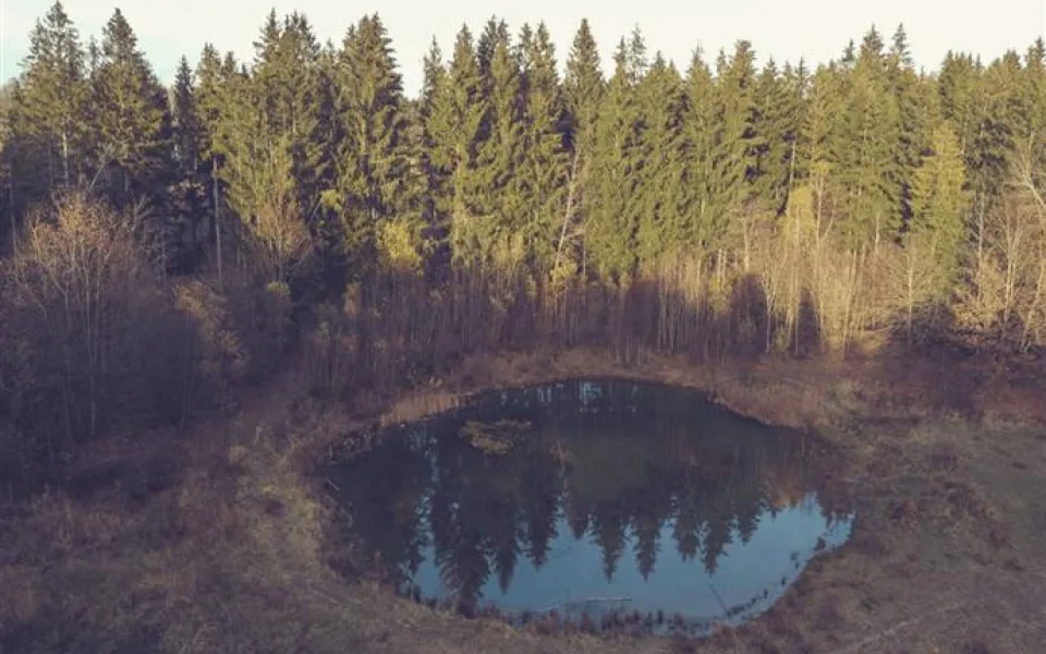 ilustrační foto.