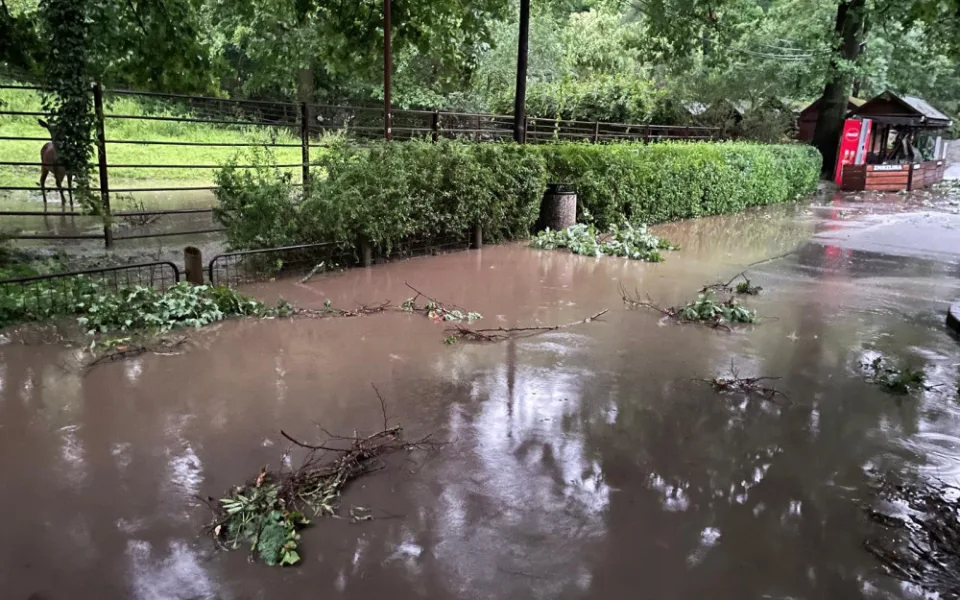 Centrum Ostravy po bouři. Nevydržely ani statné stromy, zoo je uzavřena