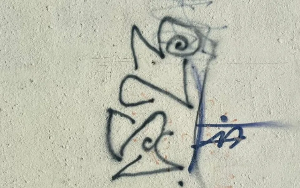 Vandal z Karviné během tří měsíců poničil devět budov. Fasády posprejoval a popsal nesmazatelnými fixy