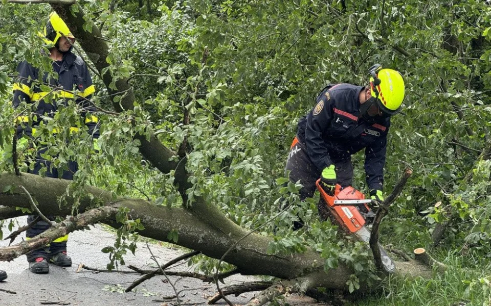 Vítr v Moravskoslezském kraji večer lámal stromy, poškodil několik střech