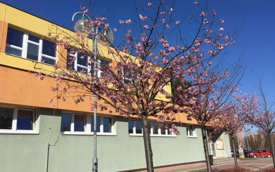 Kopřivnice investuje miliony korun do škol. V létě se opravuje jídelna, mění se podlahy a rozvody