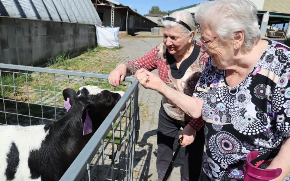 Terapie vzpomínkami. V Ostravě pomáhají seniorům prostřednictvím minulých zážitků