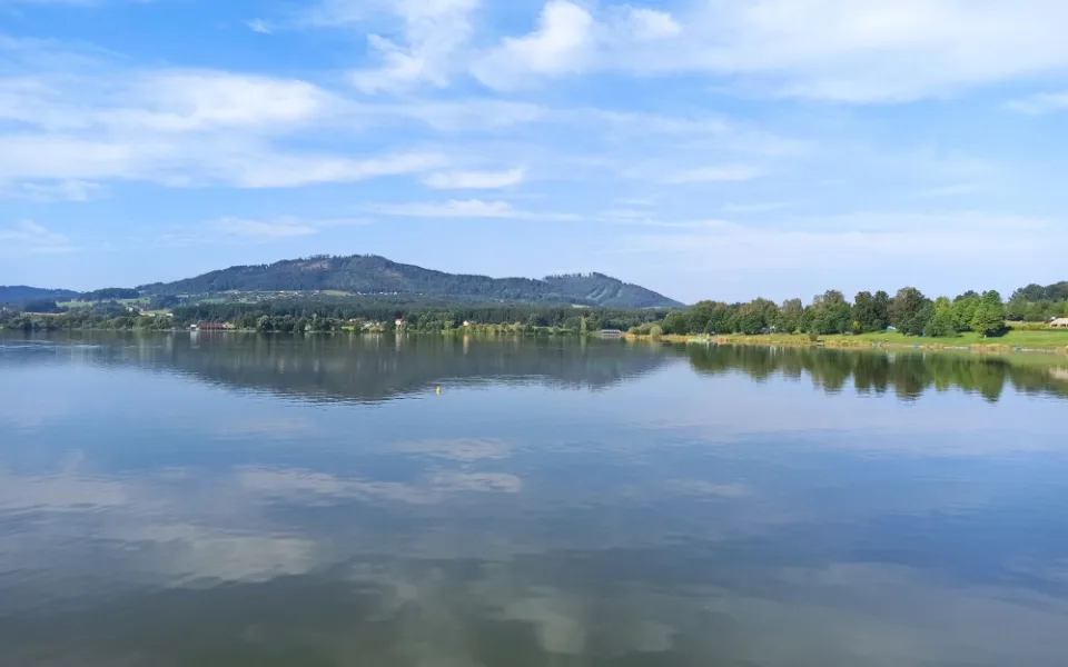 Na Olešné stále platí zákaz koupání. Hygieniky nalezené sinice mohou způsobit vážné zdravotní problémy