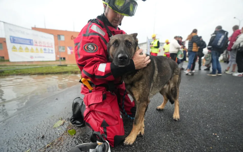 Nevolejte nám kvůli adopcím, prosí zaplavené zvířecí útulky. Chybí jim ruce, desinfekce a krmivo