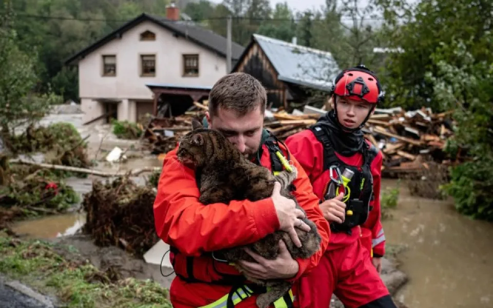 Sbírka po útulky postižené povodněmi vynesla přes pět milionů korun