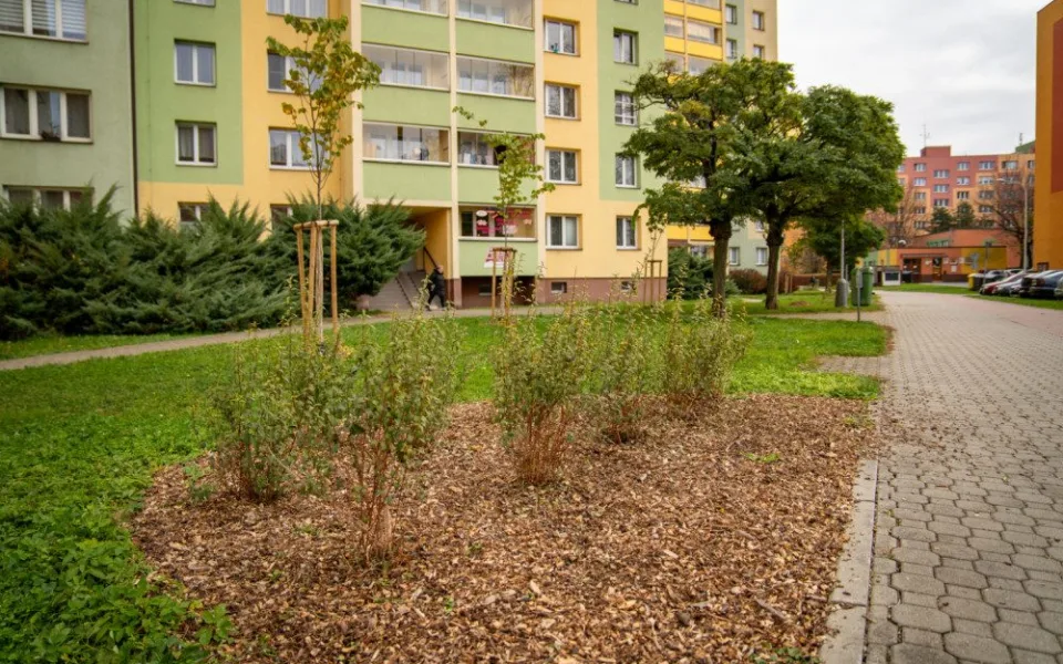 Během podzimu přibude ve Frýdku-Místku přes 700 dřevin. Chybět nebudou okrasné keře ani jabloňová alej