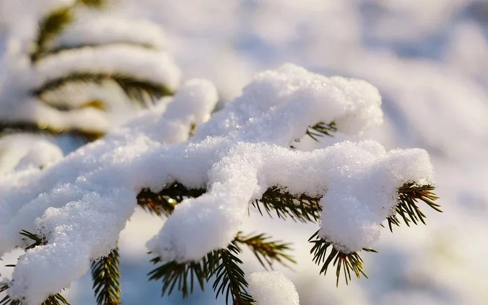 Inverzi na začátku nového roku vystřídá ochlazení. Sněžit má podle meteorologů i v nížinách