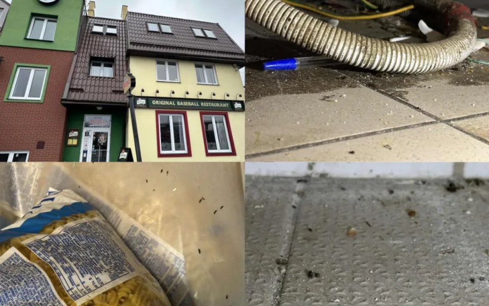 Máte hlad? Hygienici zavřeli restauraci Arrows v Ostravě, měla kuchyň plnou myšího trusu a jiných škůdců