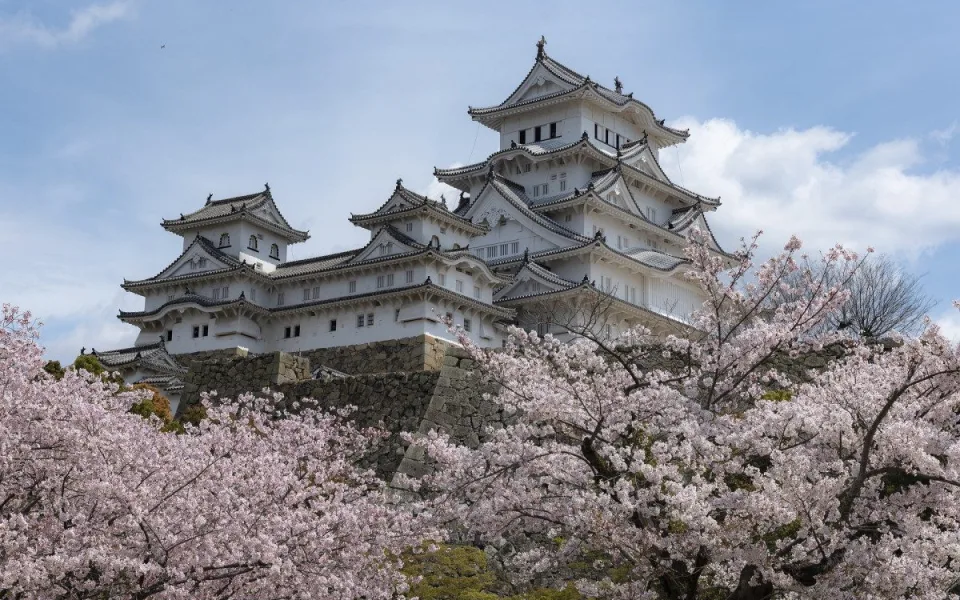 Osmiletý chlapec z Nového Jičína vyhrál celosvětovou výtvarnou soutěž v Japonsku