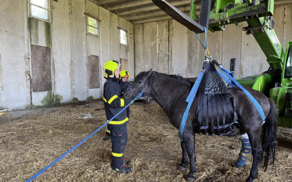 Tři jednotky hasičů zachraňovali koně na Opavsku, který sám nedokázal vstát