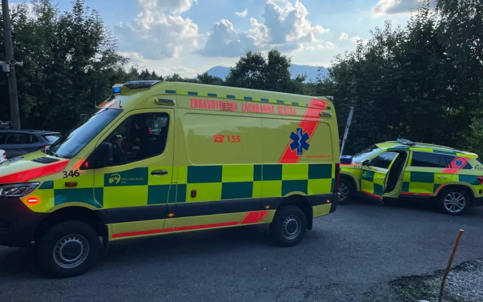 Záchranáři pomohli muži, který měl po bodnutí sršněm do hlavy alergickou reakci. Foto: Se svolením ZZS MSK