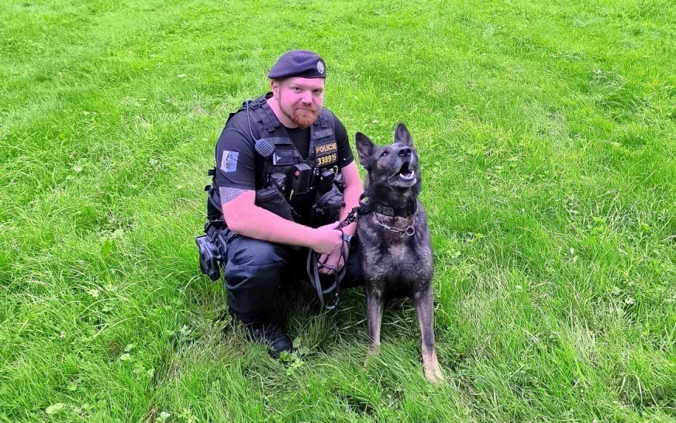 Pes Rey v Orlové pomohl objasnit vloupání. Policisty dovedl až k lupičům