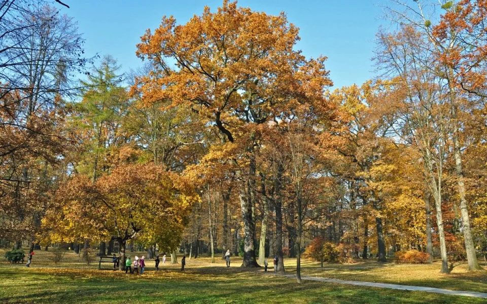 Park Petra Bezruče v Bohumíně čeká regenerace za téměř osm milionů. Foto: Se svolením města Bohumín