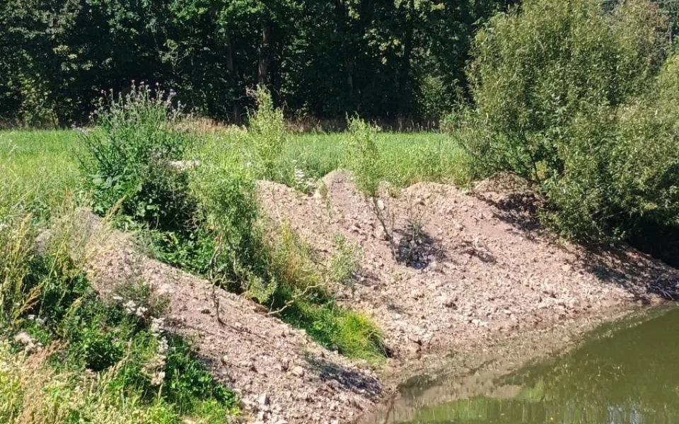 Neznámý viník zničil v CHKO Poodří hnízda ledňáčků, vysypal na ně stavební suť