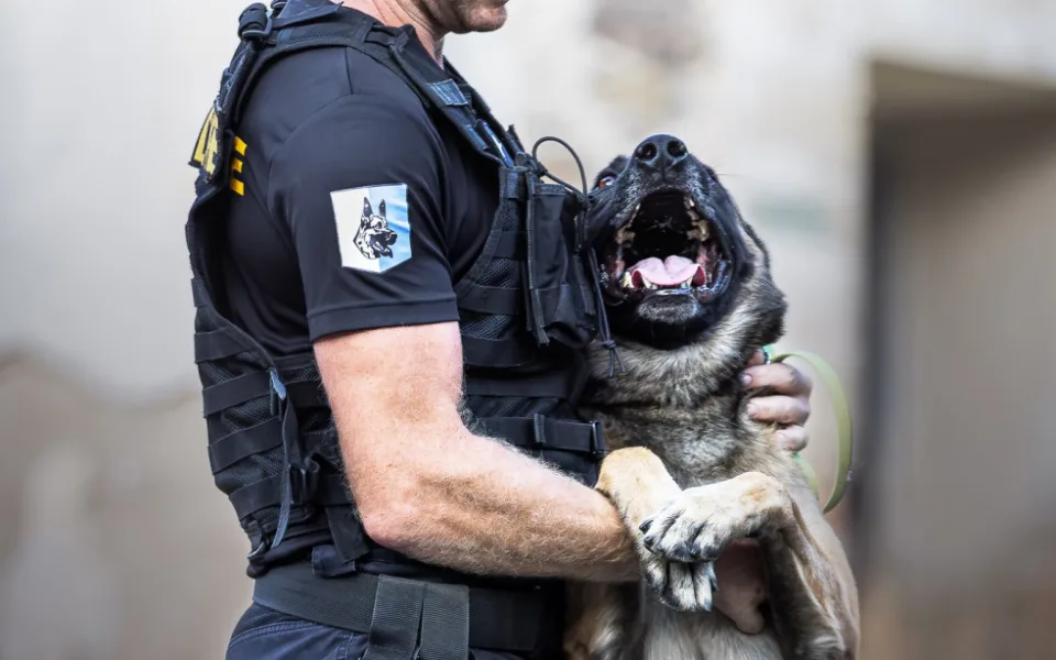 Policejní hrdinové: psi Dronko, Daphne a Ragnar v srpnu zasahovali u 4 případů