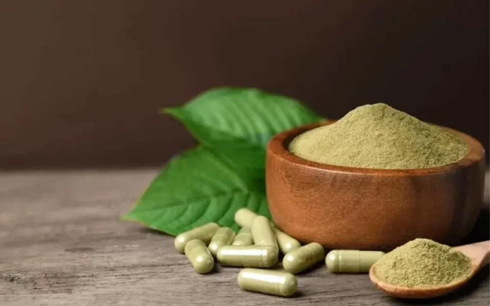 Ostravští neurologové varují, že kratom může vyvolat epileptické záchvaty