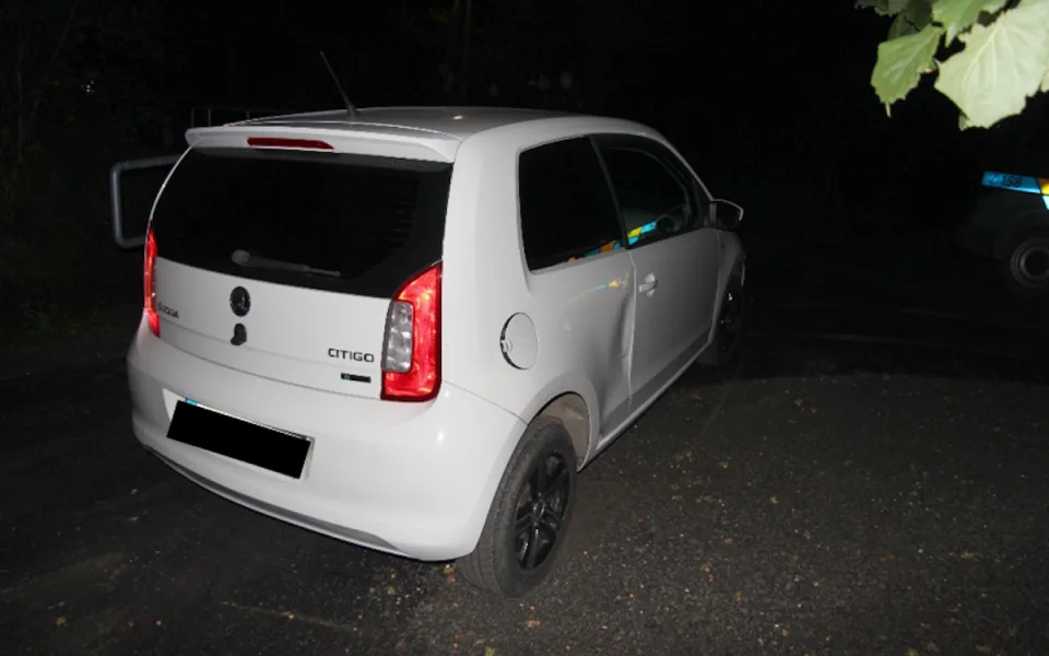 Policisté v Bruntále dopadli recidivistu, na útěku mu pomohl psovod se psem Ragnarem.