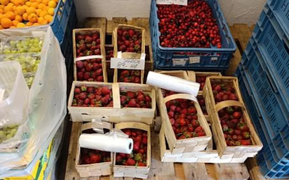 Polské jahody byly plné pesticidů. Limit překročily jedenáctkrát.