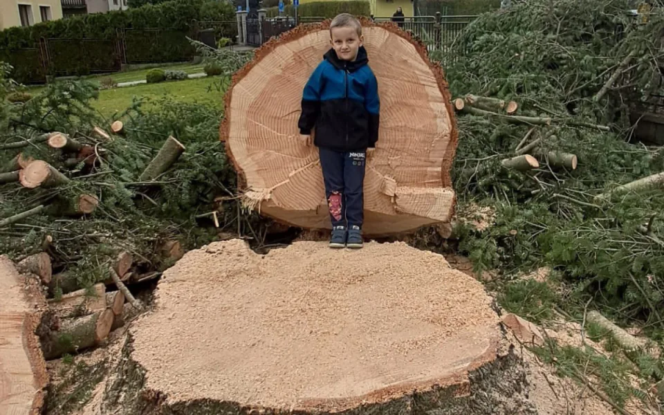 Na náměstí v Orlové se tyčí vánoční jedlovec s příběhem. Je starý více než půl století