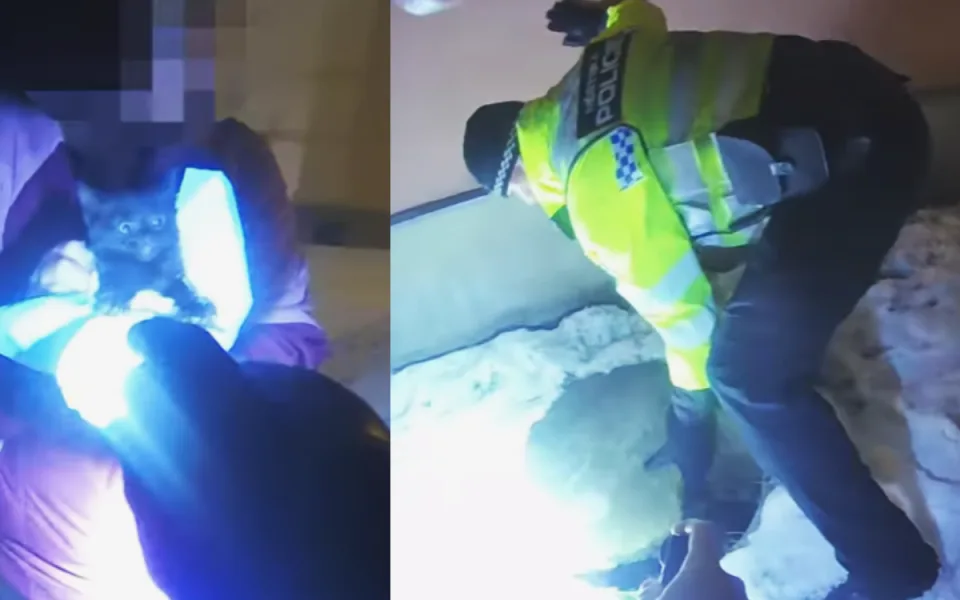 VIDEO: Mňoukání přivolalo pomoc. Ostravští strážníci zachraňovali kotě z kanálu