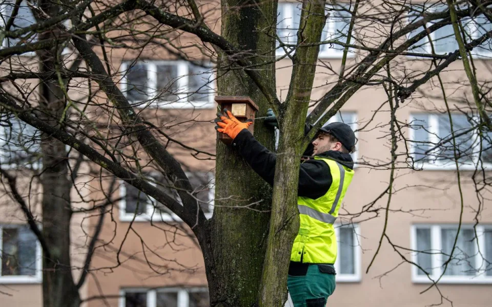 Ptačí budky v Ostravě slaví rekordní úspěch, oblíbily si je hlavně sýkorky