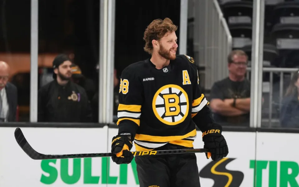 Nadějné hokejistky i borci z NHL. Kdo reprezentuje kraj na olympiádě?