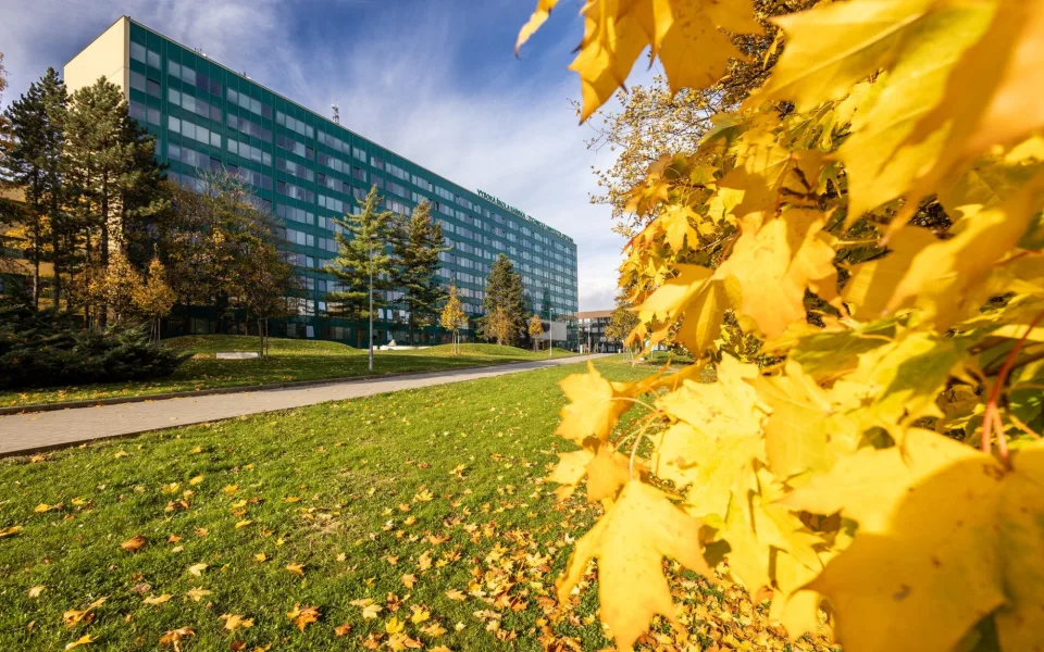 Technická univerzita Ostrava otevírá obor Zelené materiálové technologie
