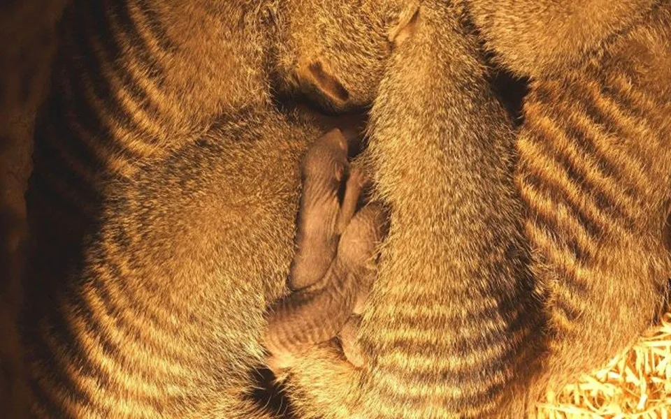 Ilustrační fotografie