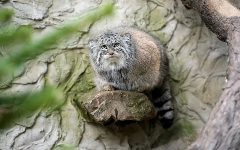 Ilustrační foto. Foto: Zoo Ostrava