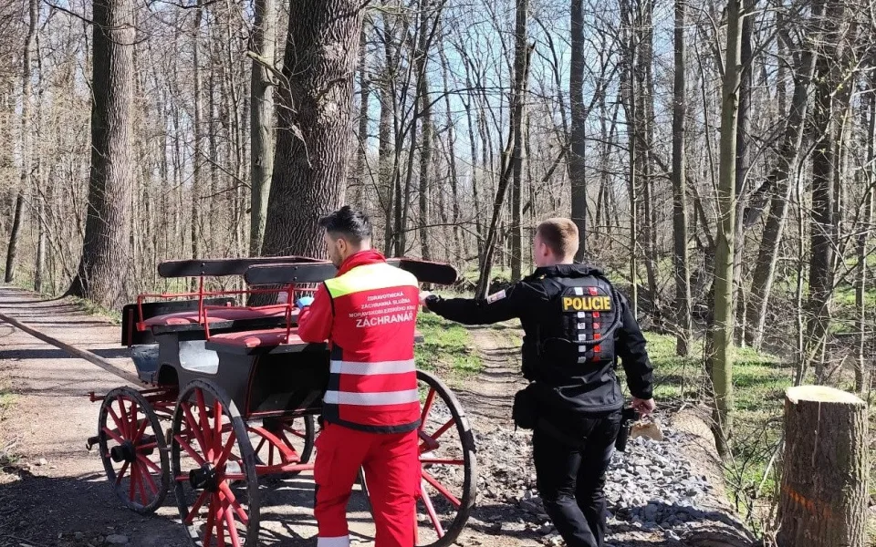 Splašený kůň poslal povoz do příkopu, kočí skončil v nemocnici s otřesem mozku