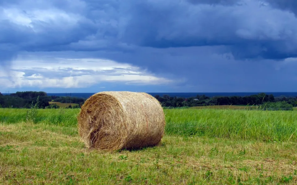 Ilustrační foto